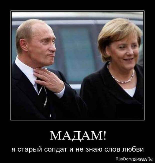 Картинки по запросу смешные фото меркель