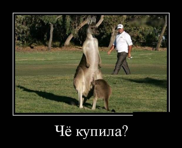 www.vsyako.net