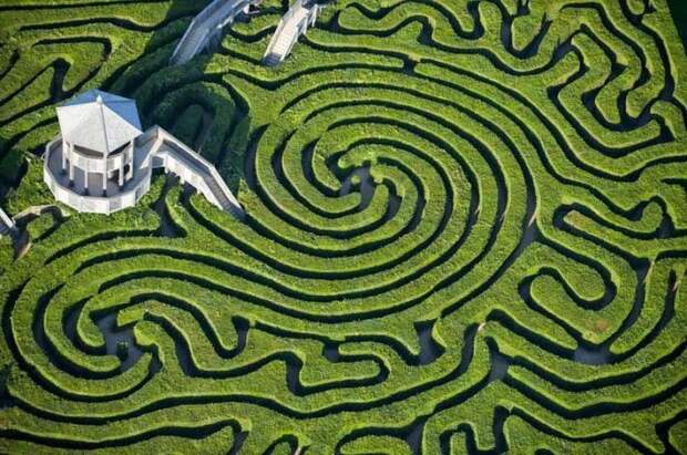 Longleat Hedge Maze – самый длинный в мире лабиринт