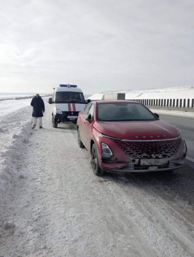 Коткаручылар Мамадыш районында М12 трассасында салкында туңып беткән парга булышкан