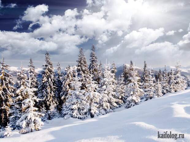 Реальная красота (60 фото)