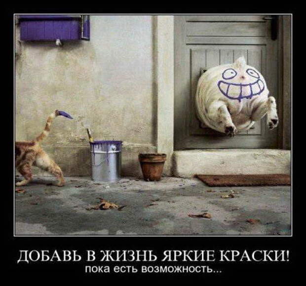 Подборка смешных и задорных демотиваторов дня (2014)