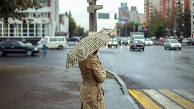 Популярный российский бренд начал продавать зонты почти за 100 тысяч рублей