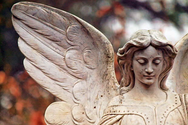angel