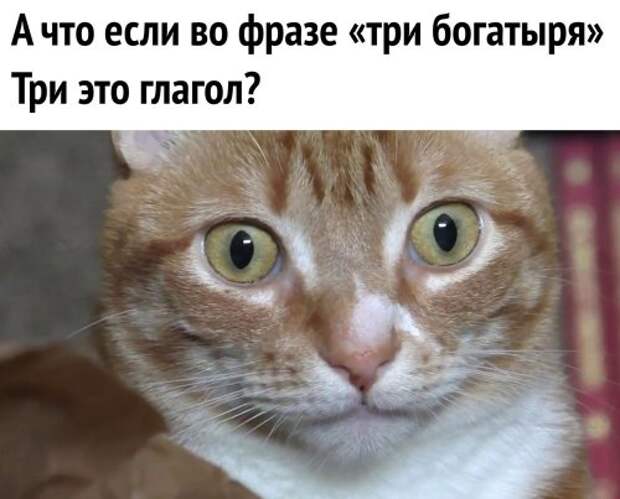 Фото-приколы дня