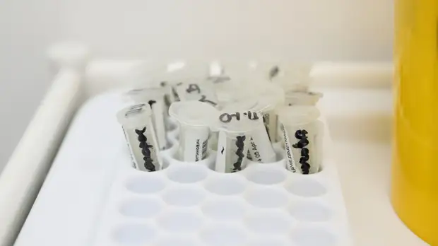 Футболист ЦСКА Кучаев получил отрицательный результат теста на коронавирус