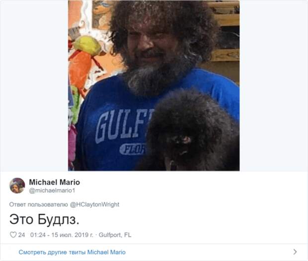 Sдин в один питомцы и их владельцы похожие друг на друга как две капли воды
