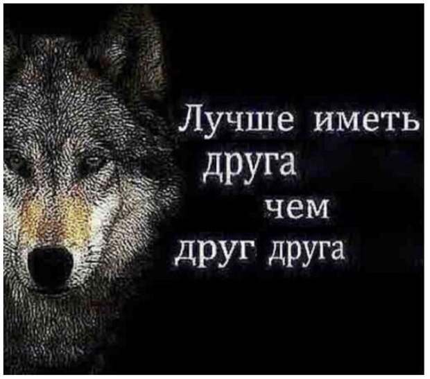 www.vsyako.net