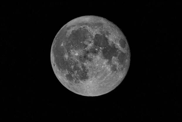 Астронавты смогут выращивать бобовые на Луне