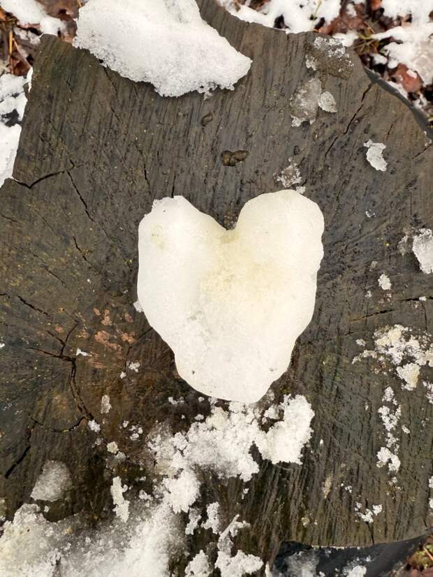 Переменная облачность и мокрый снег ожидаются в Ивановской области 27 февраля