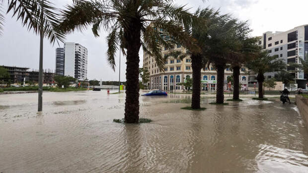 Эксперт Воронков назвал причины затопления Дубая после мощных ливней