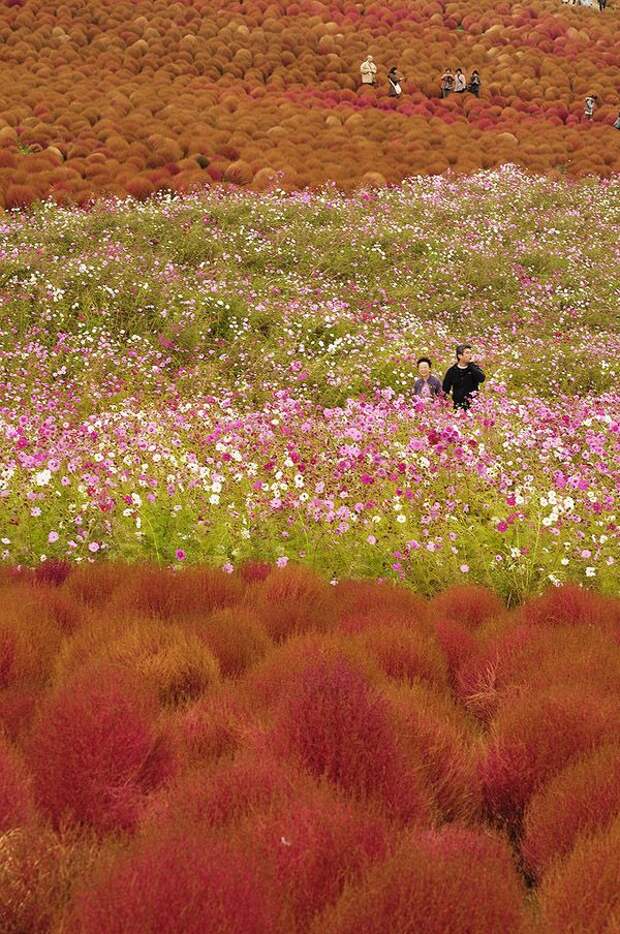 Места, которые нужно увидеть воочию SurrealPlaces18 Места, которые нужно увидеть воочию