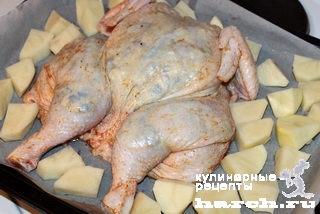 kurochka-farshirovanaya-gribami-i-sirom-sudarushka_09 (320x214, 62Kb)