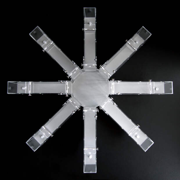 Радиальный восьмирукавный лабиринт — установка для экспериментов над грызунами.