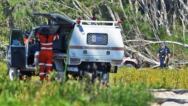 Трехлетняя девочка потерялась в лесу; полицейская операция не принесла результата. Спасителем малышки стал старый полуслепой пес