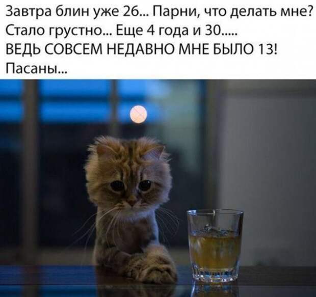 Алкопост Алкопост