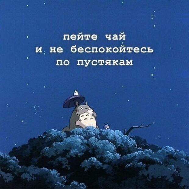 Смешные и ржачные картинки с надписями со смыслом (11 фото)