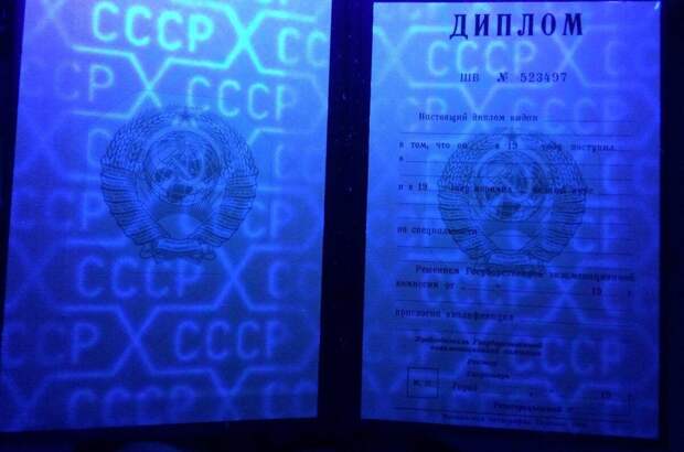 А самый шик и повод для гордости - это красный диплом