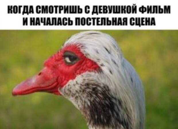 Фотоприколы с надписями