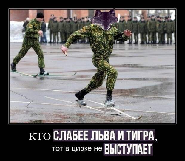 www.vsyako.net