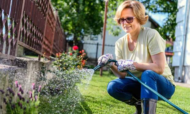 «Гамак», мыльница и еще 4 хитрости, как использовать старые колготки на даче