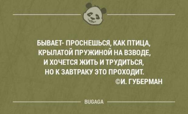 Забавные фразы в картинках с надписями. Часть 38 (20 шт)