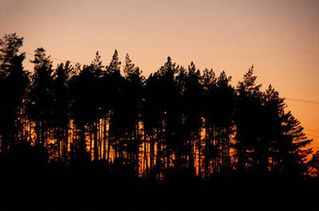 Метеозависимость или психосоматика: что на самом деле стоит за ухудшением самочувствия при смене погоды?