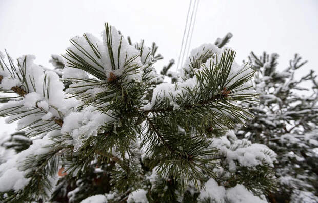 Тульскую область накроют метровыми сугробами: