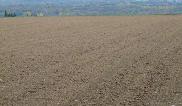 Московская область за 8 лет ввела в оборот 467 тысяч гектаров земель