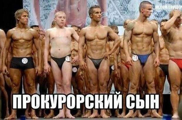 Новые фотомемы с приколами (26 шт)