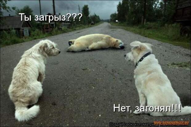 Уфф!!! Ну наконец-то! Котоматрицы великолепные, каждая с улыбкой и хорошим настроением!