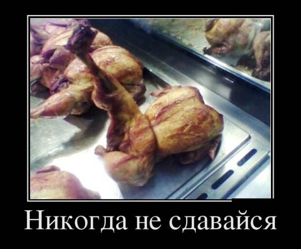 Демотиваторы
