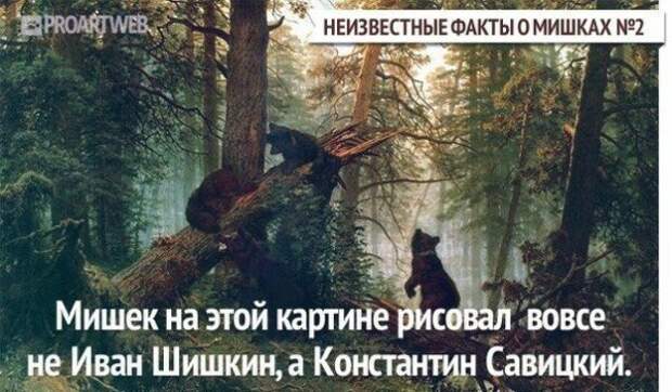Неизвестные факты о мишках медведи, факты, фауна