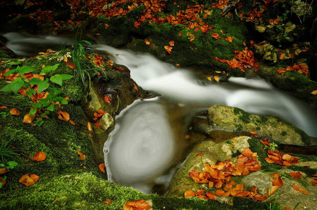 Осенний водоворот