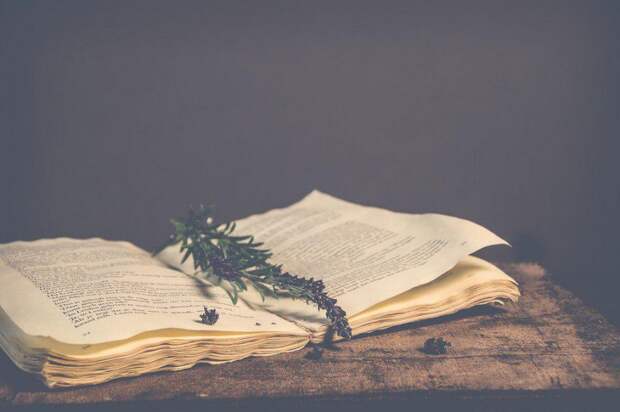 Книга. Фото: открытый источник