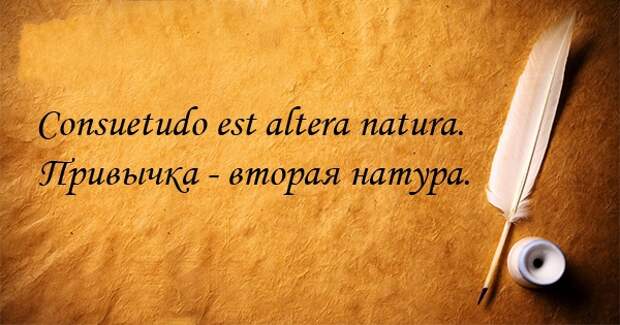 14 крылатых афоризмов на латыни афоризм, латынь