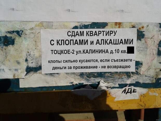 1. Собственники уверены, что сдать можно любую квартиру