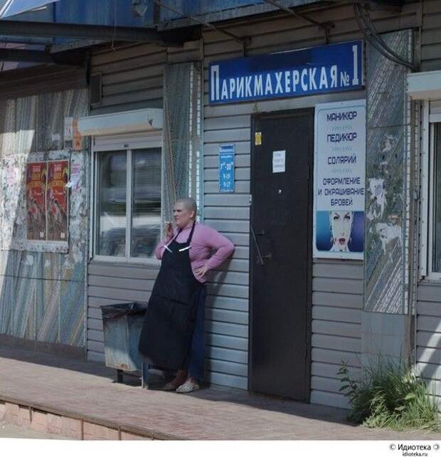 Прикольные картинки