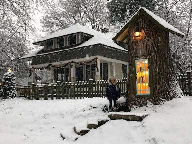 https://img.lifter.world/data/2019/jan/164/dead-tree-little-free-library-sharalee-armitage-howard-2-5c3471b96a8d5__700.jpg