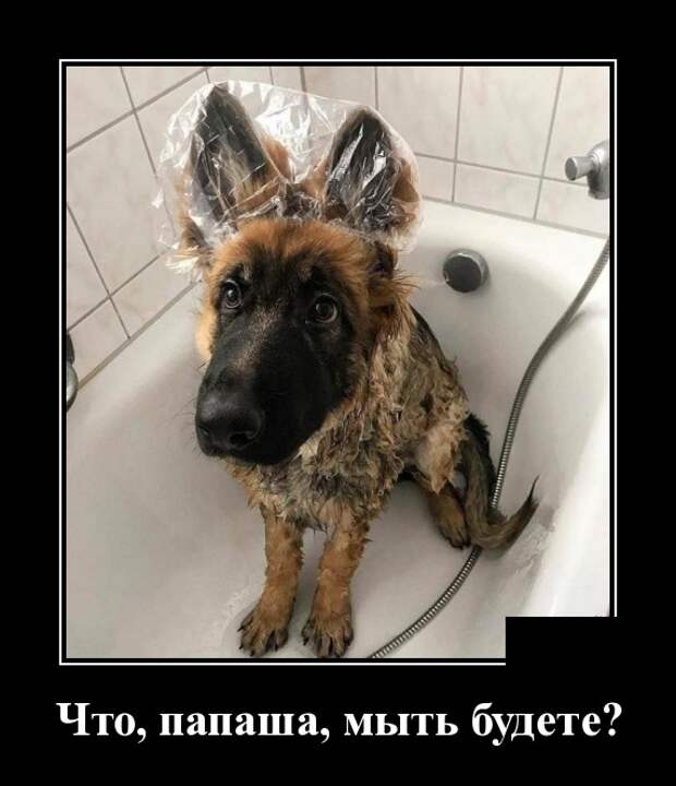 www.vsyako.net