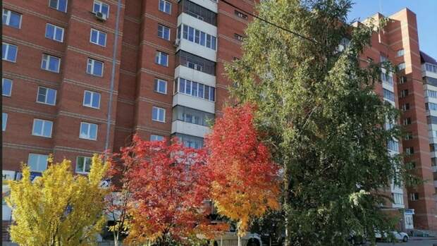 Дорога в обход. Два ТСЖ в Барнауле несколько лет "делили" перегороженный шлагбаумом проезд