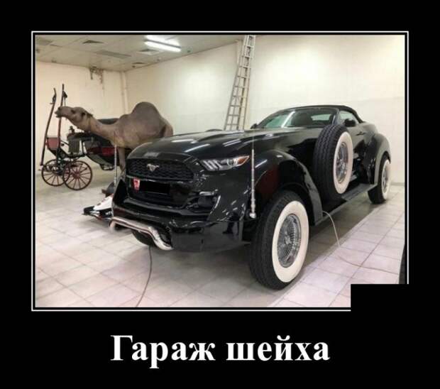 Демотиваторы (30 фото)