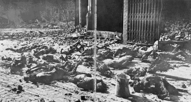 Останки жертв бомбардировки Гамбурга. <br>