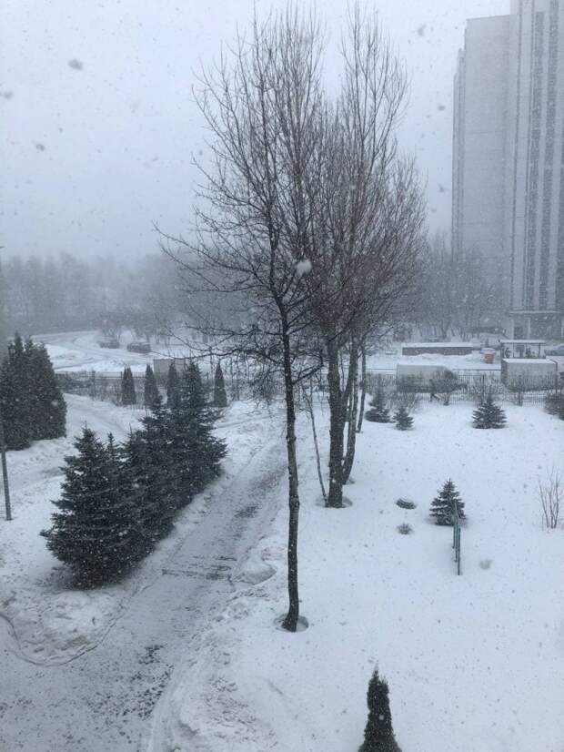 Фотокадр: Псковская улица из окна школы