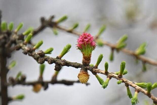 Где будет 23 градуса тепла? Погода в Краснодарском крае на выходные