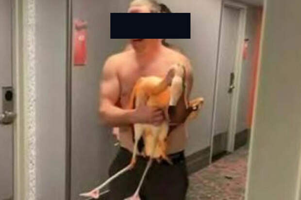 В Лас-Вегасе турист украл фламинго из казино и издевался над ним в отеле