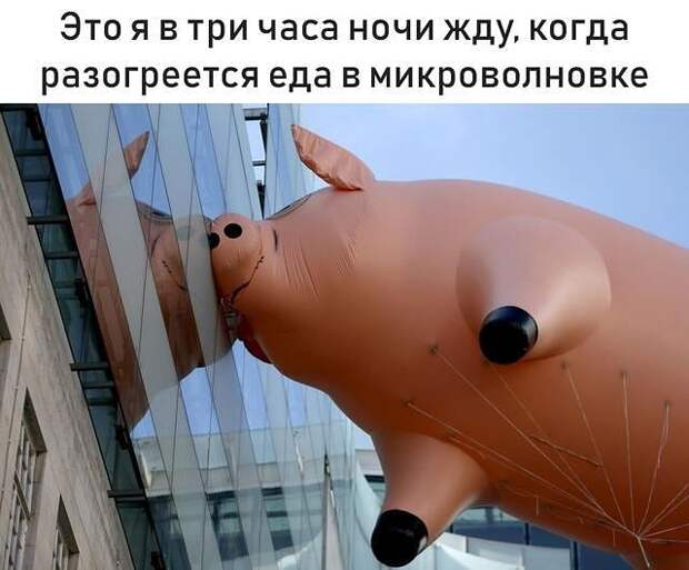 Мемы