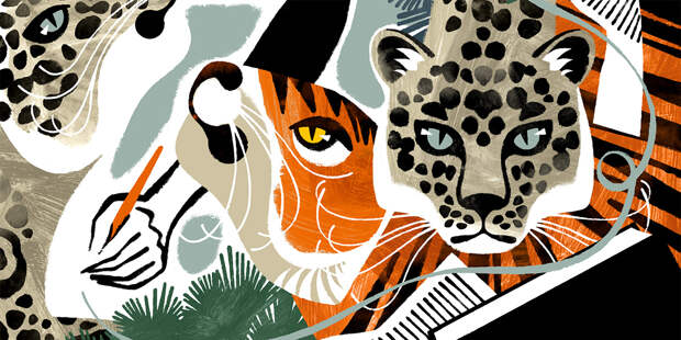 Чухе Ким. След тигрицы