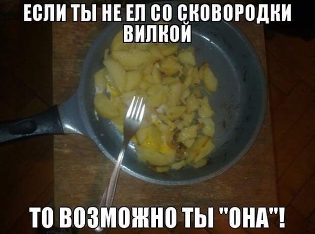 Веселые и смешные картинки с надписями со смыслом (12 фото)
