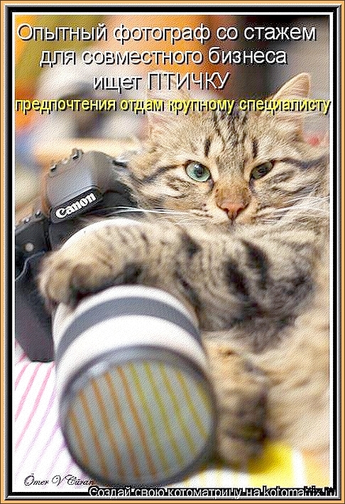 С  ДНЕМ  ФОТОГРАФА  ВАС,  ДРУЗЬЯ!!!...